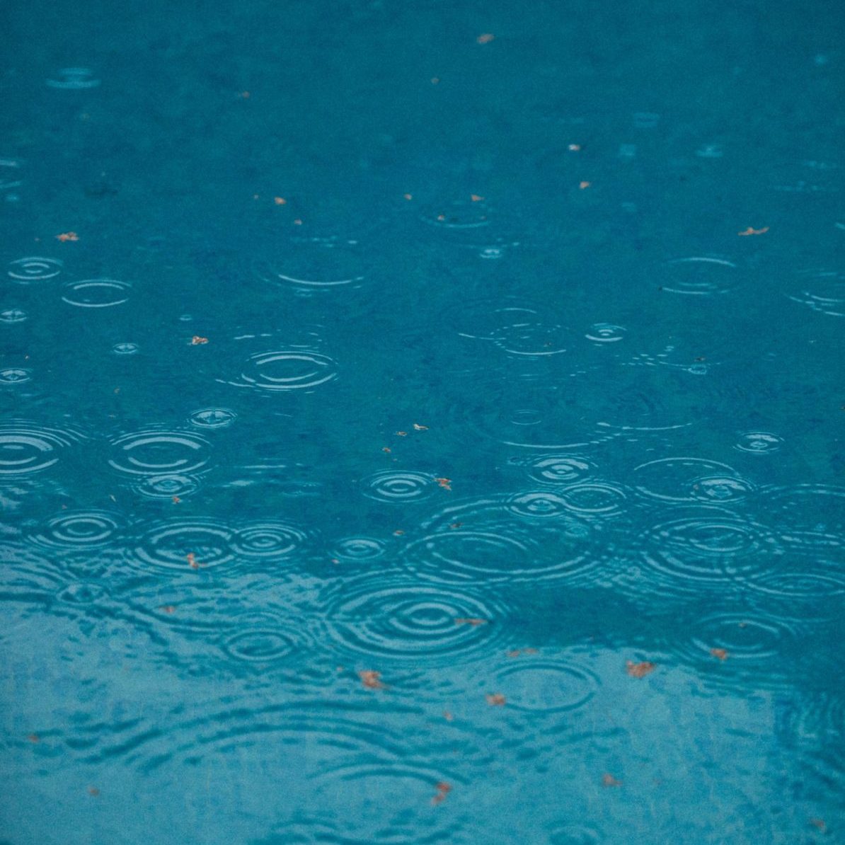 How to save your socially distanced barbecue party if it rains